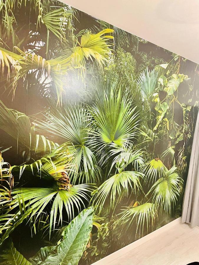 Apartment La Saveur Tropicale-proche Centre Ville-aeroport *